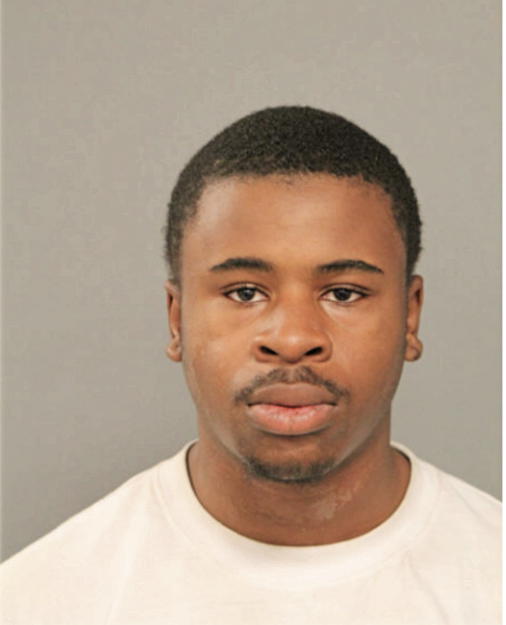 GEORGE G WILLIAMS, Cook County, Illinois