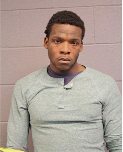 BRIAN J WILLIS, Cook County, Illinois