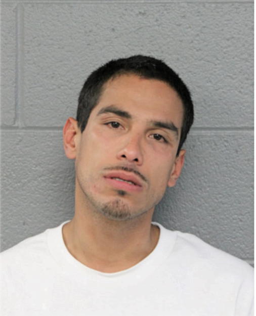 ENRIQUE ZAMORA, Cook County, Illinois