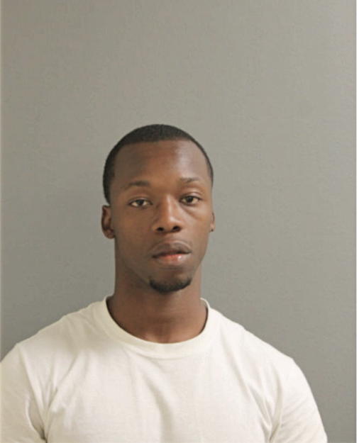 WILL P ALSTON, Cook County, Illinois