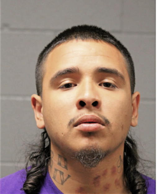 JESSE V ALVAREZ, Cook County, Illinois