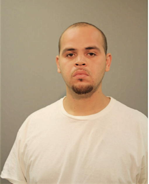 HECTOR M APONTE, Cook County, Illinois