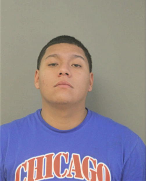 CRISTIAN B AUDANTE, Cook County, Illinois