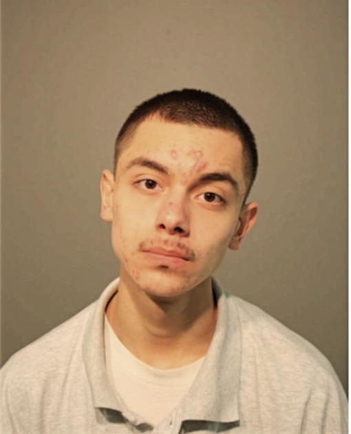GUSTAVO A AVITIA, Cook County, Illinois