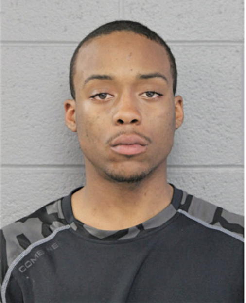 LAMAR D BERGER, Cook County, Illinois