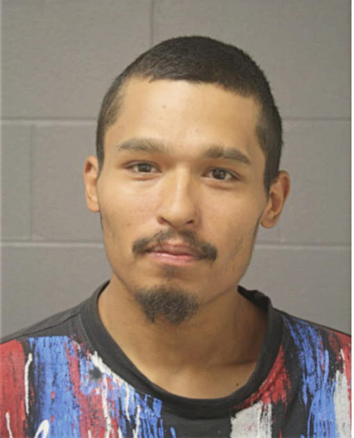 DAVID C CALVILLO, Cook County, Illinois