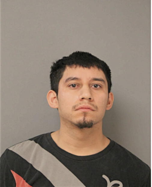 FERNANDO CASTELAN, Cook County, Illinois