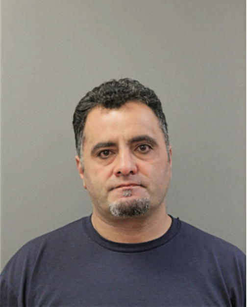 GEORGE HANI, Cook County, Illinois
