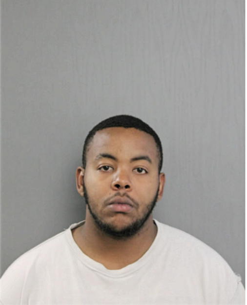 BRYAN J JOHNSON, Cook County, Illinois