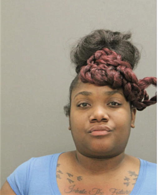 LENA N JOHNSON, Cook County, Illinois