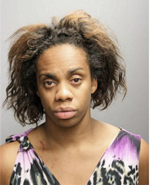 ERICA A LANGSTON, Cook County, Illinois