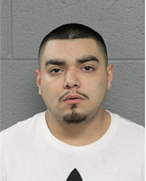 LUIS LEON, Cook County, Illinois