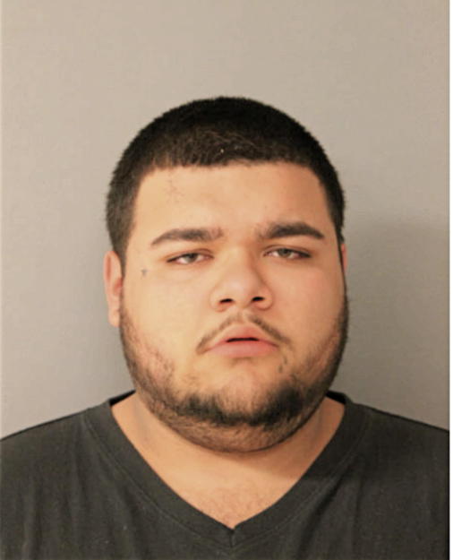 LOUIS MALDONADO, Cook County, Illinois