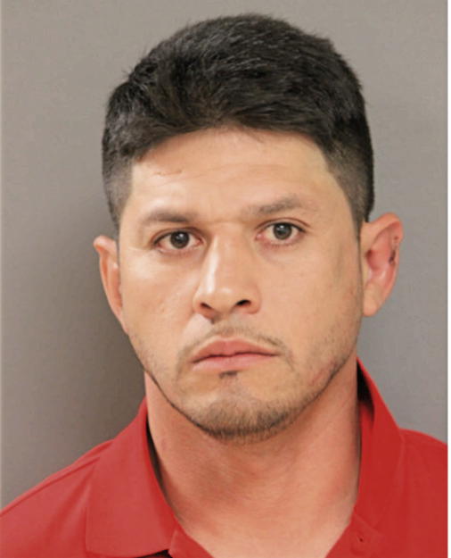 MARIO ORTEGA, Cook County, Illinois