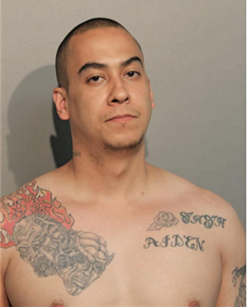ALEXIS R PEREZ, Cook County, Illinois