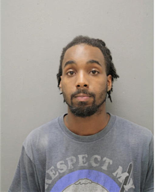 ERIC O PERRY, Cook County, Illinois