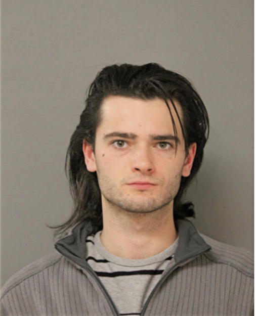 DAWID J SZAFRANSKI, Cook County, Illinois