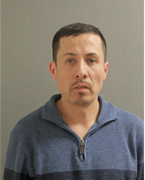 JUAN FERNANDO TORRES-GONZALES, Cook County, Illinois