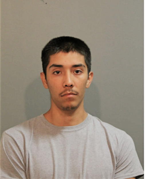 VALENTIN TRUJILLO, Cook County, Illinois