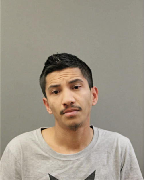 JUAN VEGA, Cook County, Illinois