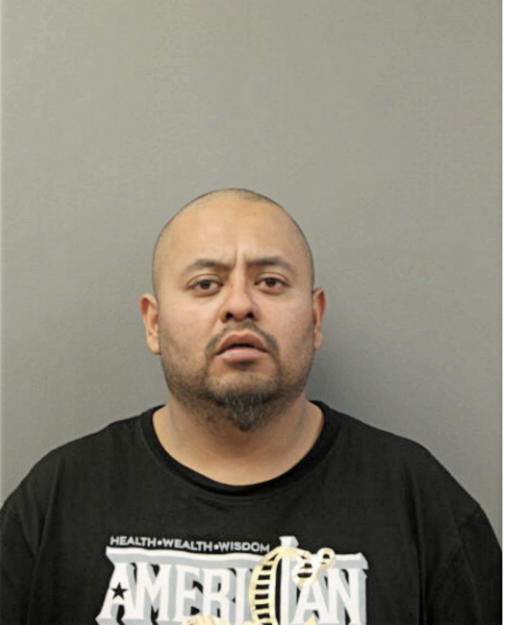 JORGE C ZAMORA-FLORES, Cook County, Illinois