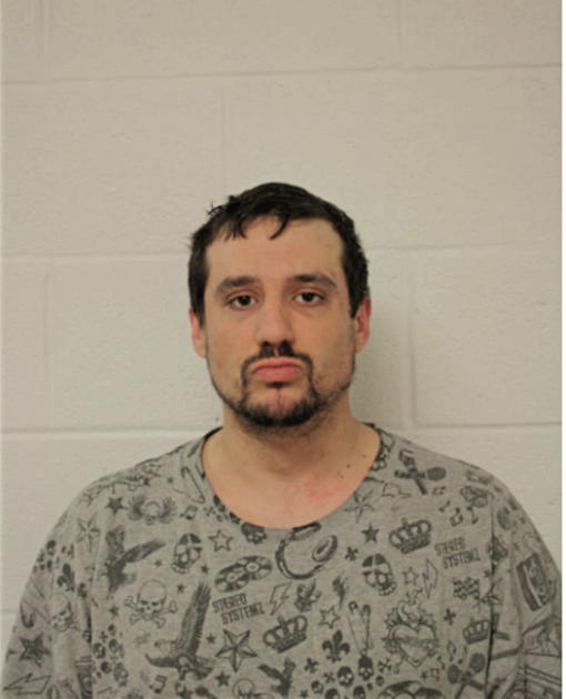 FRANK J AGRESTO, Cook County, Illinois