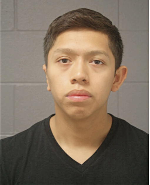 ANDREW D ALVAREZ, Cook County, Illinois