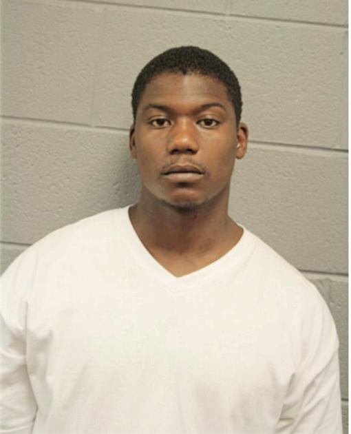 PAUL D ANDERSON, Cook County, Illinois