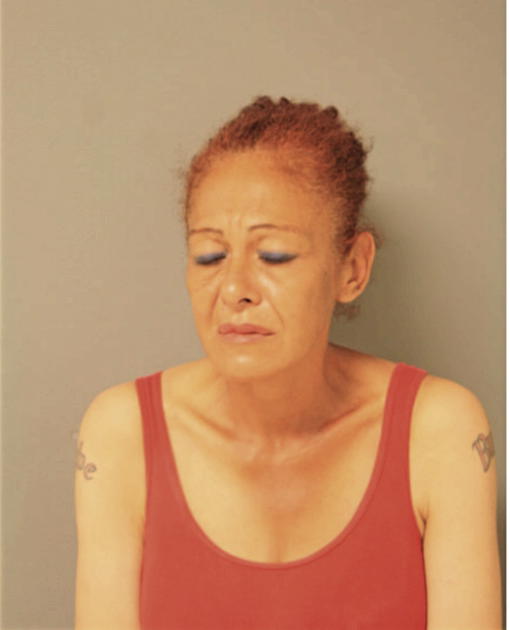 ANA L APONTE, Cook County, Illinois