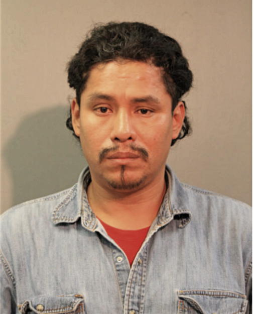 ENRIQUE ARRIETA, Cook County, Illinois