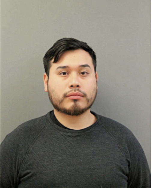 JOHNNY DELGADO, Cook County, Illinois