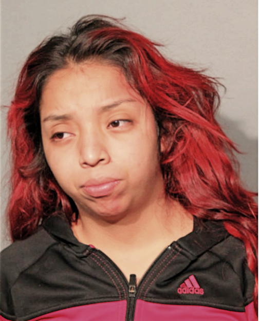 BRENDA ESTRADA, Cook County, Illinois