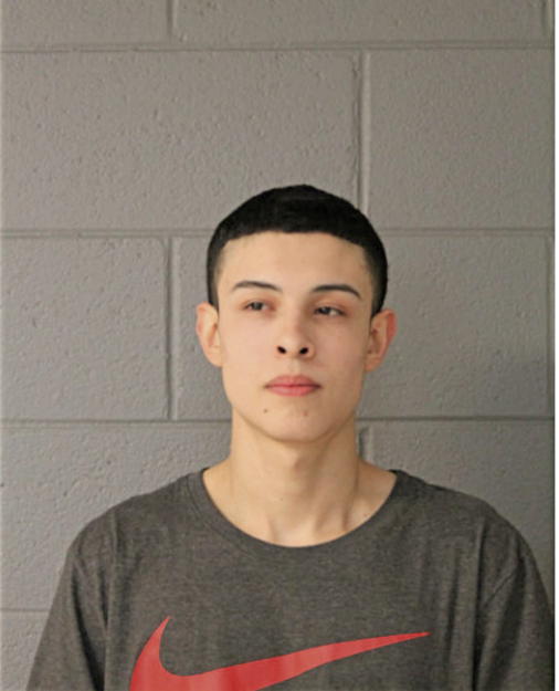 JORGE A FLORES, Cook County, Illinois