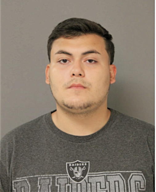RONNY GAMBOA, Cook County, Illinois