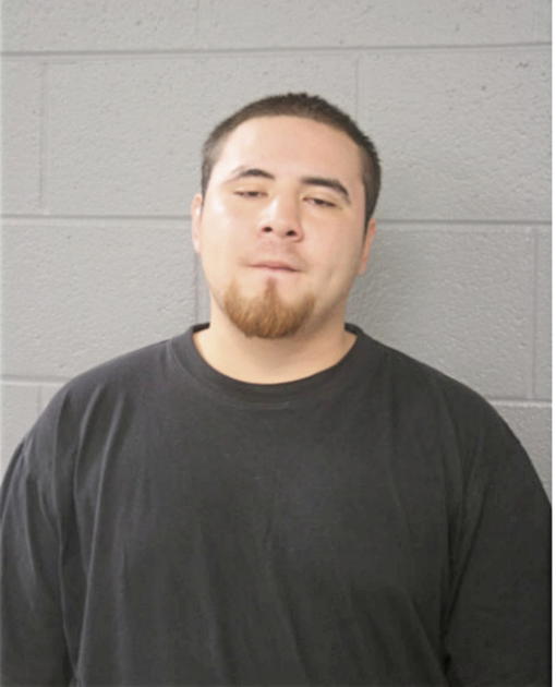 FROYLAN GARCIA, Cook County, Illinois