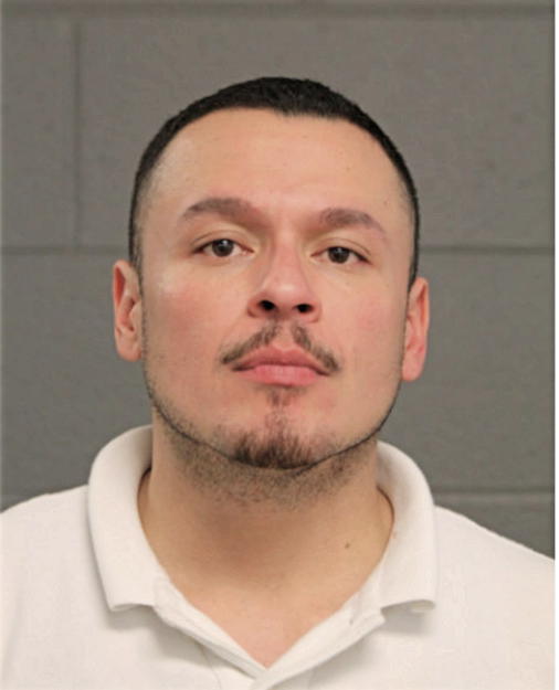 JOSE M GONZALEZ, Cook County, Illinois