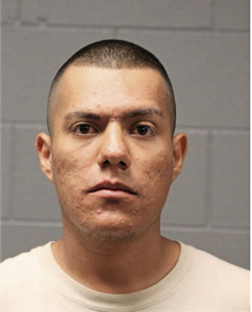 LUIS F HERNANDEZ, Cook County, Illinois