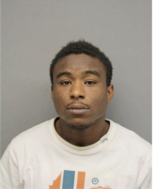 BRANDON D HOLT, Cook County, Illinois