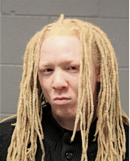 JAVARRES L JOHNSON, Cook County, Illinois