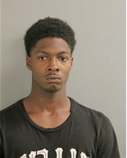MALIK JOHNSON, Cook County, Illinois