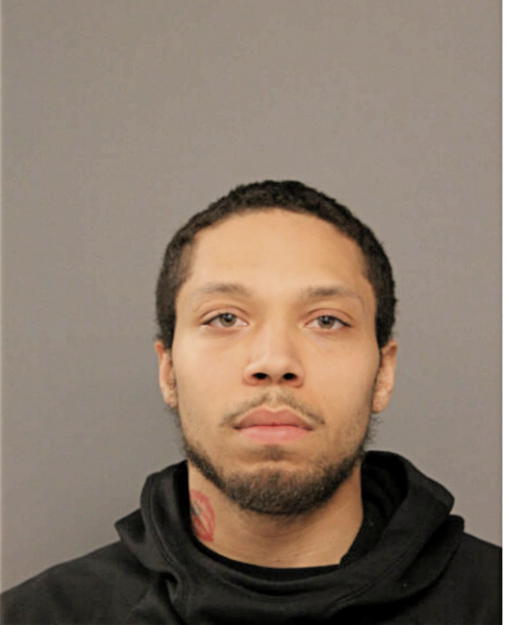 XAVIER A LIVINGSTON, Cook County, Illinois