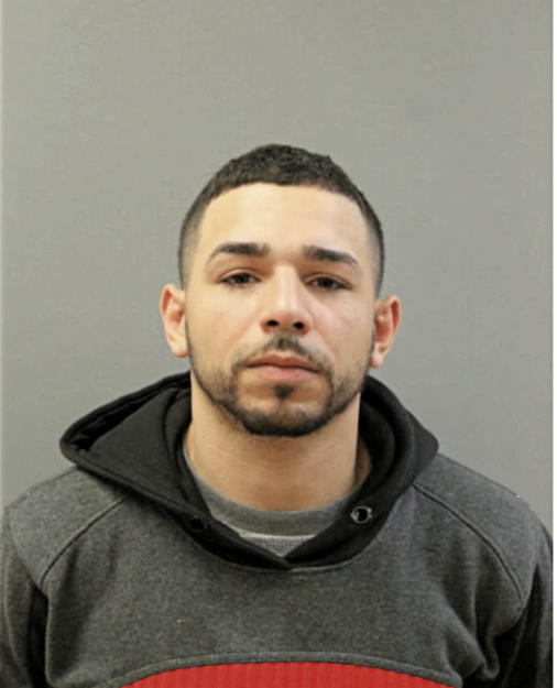 GREGORIO V LOZADA, Cook County, Illinois