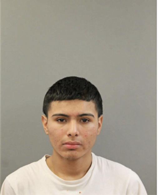 ERIC ORTIZ, Cook County, Illinois