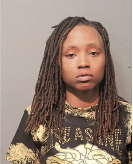 MEGAN S PRUDE, Cook County, Illinois