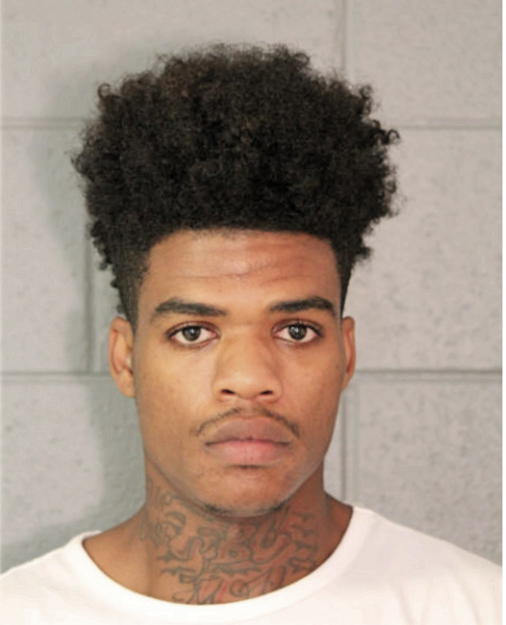 TYREESE E ROBERSON, Cook County, Illinois