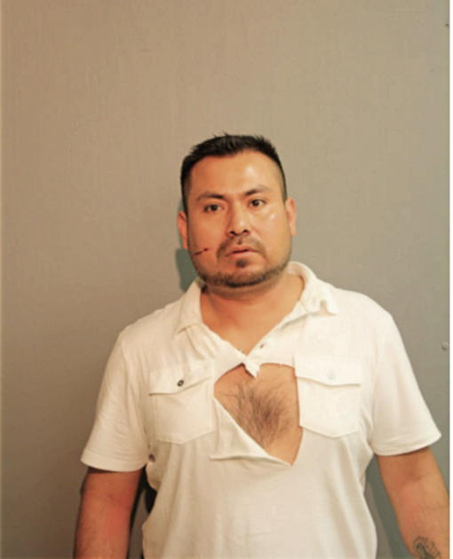 ESTEBAN TOLAYO-TORRES, Cook County, Illinois