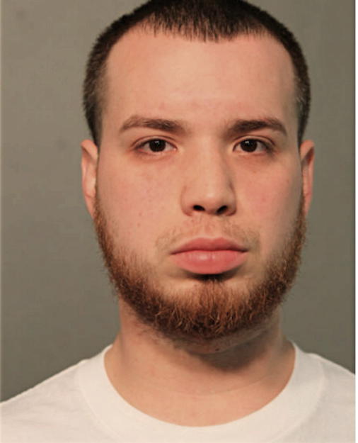 RAMON JR TORRES, Cook County, Illinois