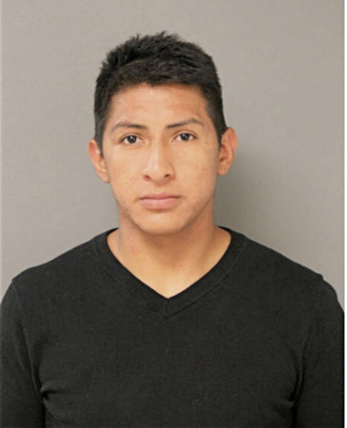 EDISON R VALDEZ BARRETO, Cook County, Illinois