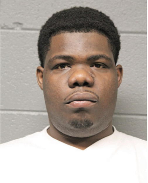 DENNIS A WILLIAMS, Cook County, Illinois