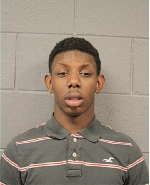 VERNON L BEASLEY II, Cook County, Illinois